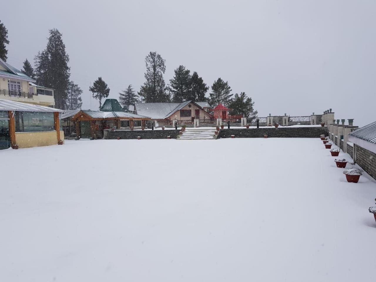 Royal Tulip Luxury Hotel, Kufri, Shimla Eksteriør billede