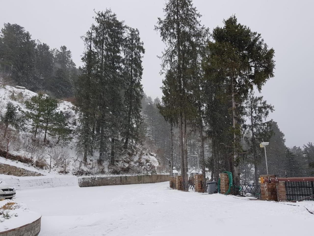 Royal Tulip Luxury Hotel, Kufri, Shimla Eksteriør billede